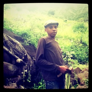 Junge im Tal von Galinha, unterhalb von Rui Vaz